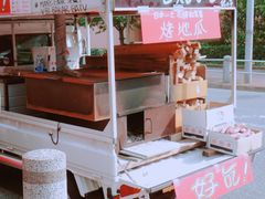 -台场海滨公园船码头