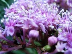 -苏州河梦清园环保主题公园