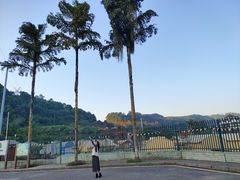 -重庆南山海昌汤都