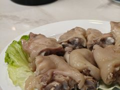 -丁老爷子苏香圆