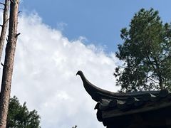 -千岛湖东南湖区