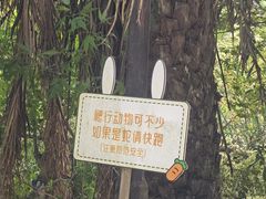 -龙门水都景区
