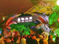 -横店影视城梦幻谷园区