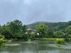 -杭州雅谷泉山庄酒店-餐厅