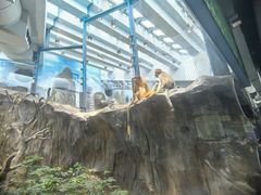 -香港海洋公园