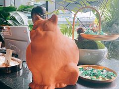 -星叶·东南亚料理(宁波万象汇店)
