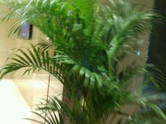 -上海龙之梦万丽酒店