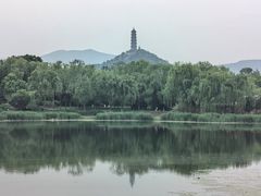 -北坞公园