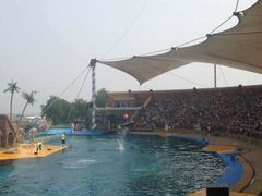 -北戴河圣蓝海洋公园