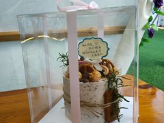 -Dark Horse·黑马蛋糕·低脂·低糖淡奶(金匙望湖大厦店)