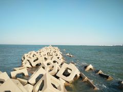 -东疆建设开发纪念公园