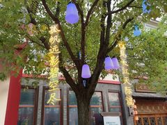 -芜湖方特东方神画