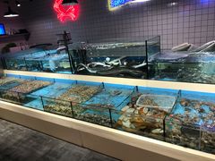 水产区-日进一片海.生腌海鲜火锅.宵夜烧烤(三里屯总店)