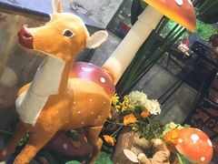 -舌尖上的食缘花园主题餐厅