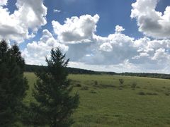 -塞罕坝国家级自然保护区