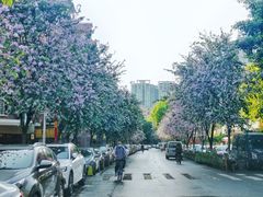 -小半有礼(天河南店)