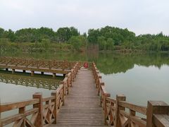 -桤木河湿地公园