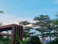 -南方医科大学深圳医院