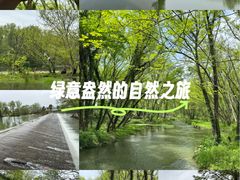 -西溪南古村落