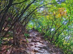 -妙峰山风景名胜区