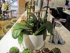 -Peet's Coffee皮爷咖啡(德基店)