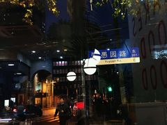-WHEN PIGS FLY当猪飞