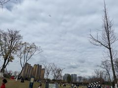 -府河摄影公园