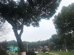 -昆山城市生态森林公园