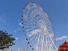 -南昌之星摩天轮