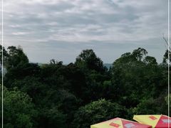 -火炉山森林公园