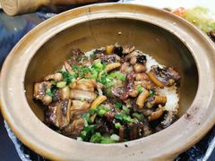 -红星光发煲仔饭(文海店)