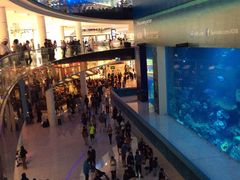 -迪拜水族馆及水下动物园