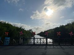 -黄海国家森林公园