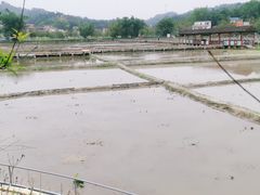 -红山村