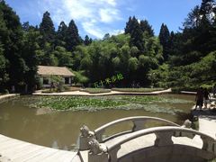 花径-庐山风景区花径公园