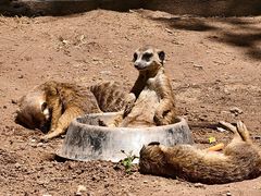 -鄂尔多斯野生动物园