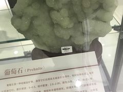 -中国第四纪冰川遗迹陈列馆