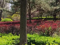 -迎泽公园
