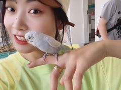 -怪兽屋·羊驼·猫咖·狗咖(俊华广场店)