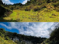 -武陵山森林公园