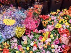 -越秀西湖花市(广州城市广场花卉店)