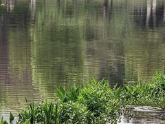 -沐仙湖湿地公园