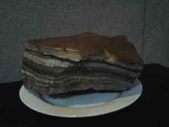 android_upload_pic-中华赏石园