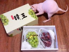 -果蔬好生活超市(乐堤港店)