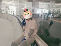 -TheRink大零溜冰场(IFS国金中心店)