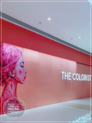 -THE COLORIST调色师