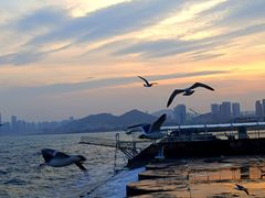 -星海广场