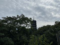 -宜兴龙背山森林公园