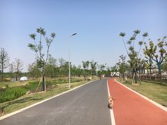 -上海长兴岛郊野公园