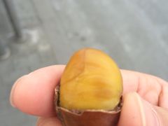 -秋栗香(地安门店)